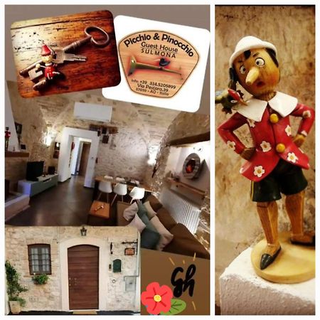 Picchio&Pinocchio Guest House 苏尔莫纳 外观 照片