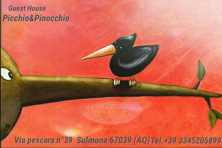 Picchio&Pinocchio Guest House 苏尔莫纳 外观 照片